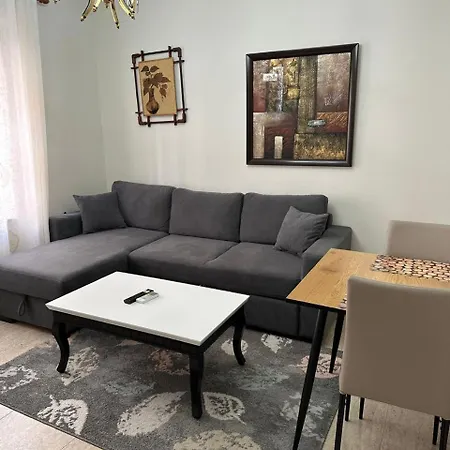 Appartement Comfortable In The Center Of Tirana
